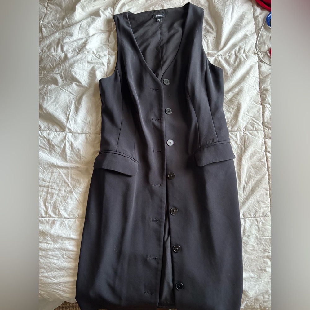 Express button up dress